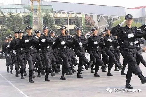 冬至過后,數九寒冬開始,津城氣溫會怎樣 還有這些事要知道